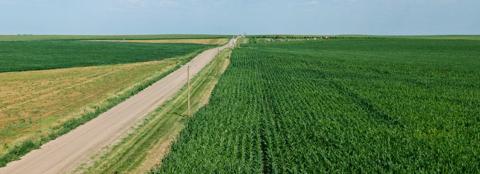 green fields on either side of two-lane highway