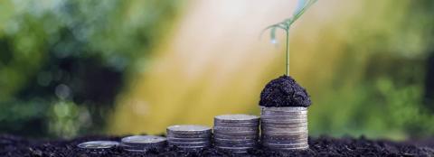 stacks of coins with a seedling on the top stack