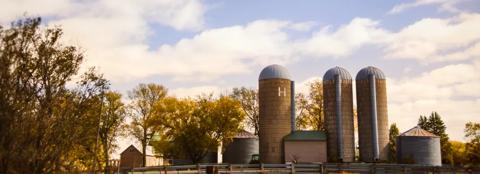 Farm operation with silos and buildings