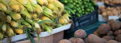 assorted produce in bins at outdoor market