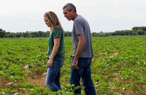 husband and wife walking through field 