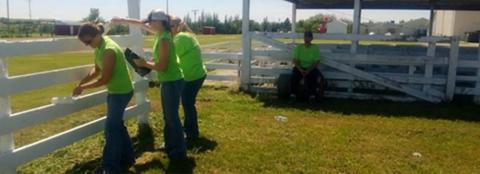 group of people painting a fence white