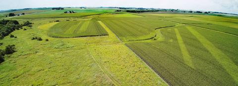 aerial view of green fields