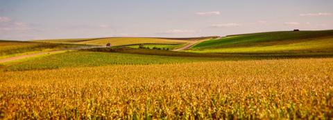 land-for-sale-how-to-find-farmland