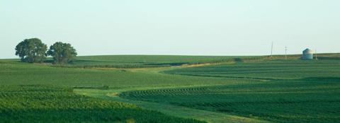 green landscape with a grain bin in the distance