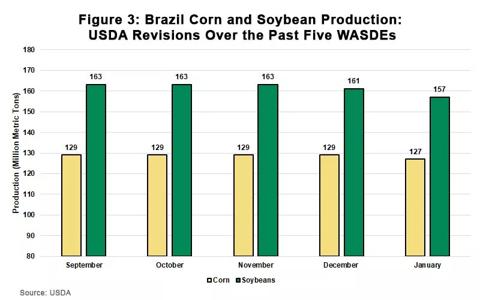 Figure 3 Brazil corn and soybean production January 2024