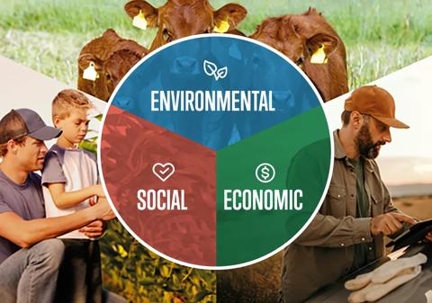 agricultural sustainability categories include environmental, economic and social