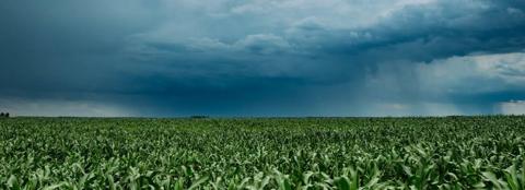 supplemental disaster relief program stage 2 update