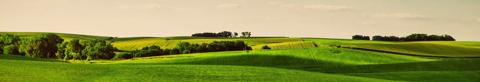 dramatic rolling landscape featuring fields of green and yellow crops