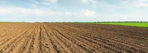 Fields to Futures What Producers Need to Know for 2025-26 hero