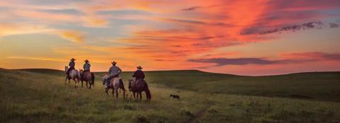 Ranchers riding horses in grassland at sunset