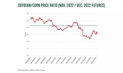 Soybean and corn price ratio for November 2022 to December 2022 Futures