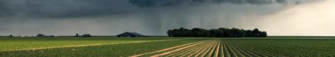 Newly planted field with dramatic stormy sky
