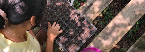 aerial shot of a young girl looking at seedlings