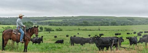 cashing-in-on-care-downey-ranch
