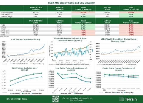 charts for the cattle industry