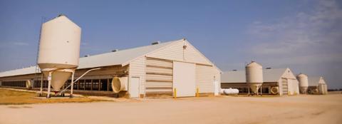 Farm livestock buildings