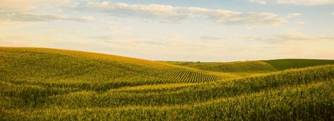 beautiful farmland