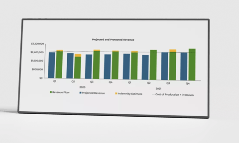 dairy revenue protection analyzer tool chart