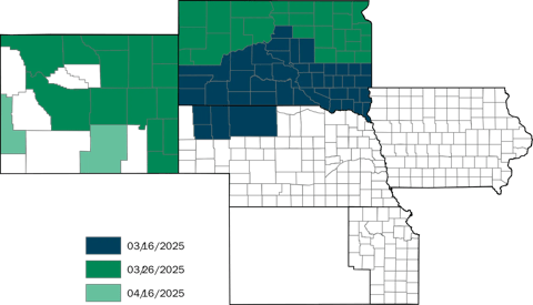 IPD25IrrSpringWheat