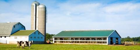 farmland with buildings and livestock