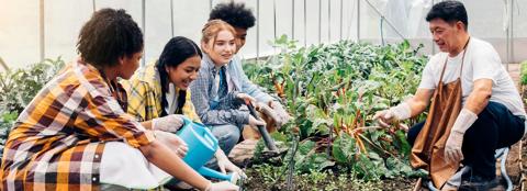 teacher instructing students about growing a garden