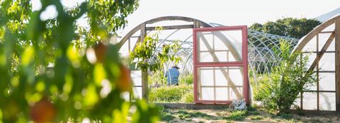 greenhouse filled with plants and door open 