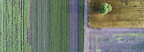 aerial of farmland