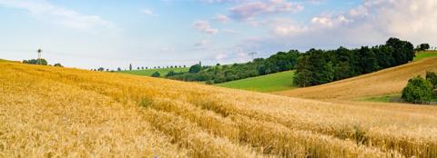 rebuilding-soil-organic-matter