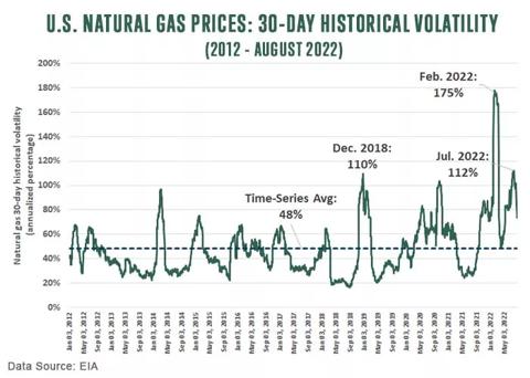 U.S. Natural Gas Prices: 30-day Historical Volatility for 2012 to August 2022