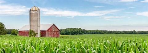 corn field with silo and barn in the background