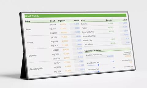 dairy revenue protection analyzer tool