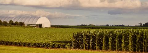 corn and soybean fields