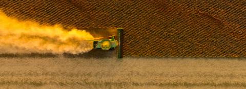 Overview of a combine harvesting during golden hour