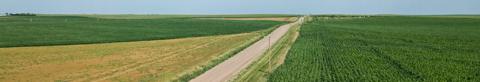 landscape featuring green fields separated by two-lane highway
