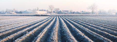 cropland in winter