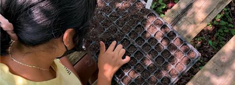 student planting seeds 