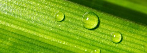 carbon profits farmland blog hero