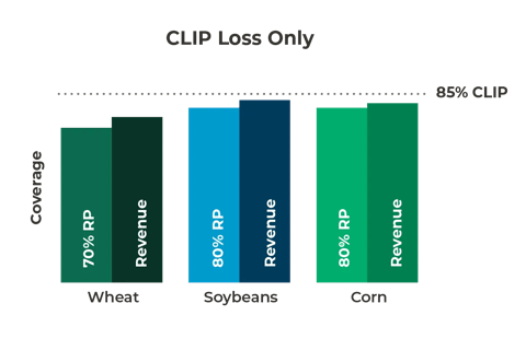 multiple colored bar chart