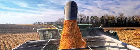 Combine auger pouring loads of kernels into a grain cart on a partly cloudy day