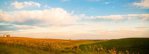 rolling landscape