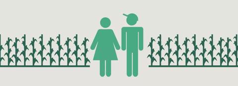Graphic of woman and man next to dark green stalks of corn.