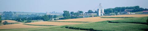 rolling landscape with cornfields and ag buildings in the distance