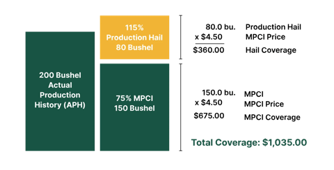 hail-coverage-peril-policy example