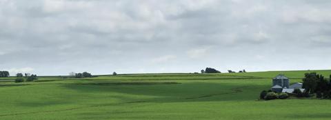 green farmland landscape