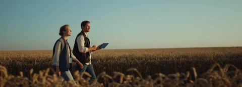 Two people walking in a corn field with an iPad in one hand on a sunny day