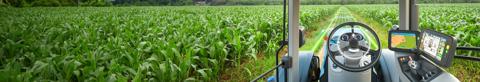 Field of crops separated by water with windmills on the horizon