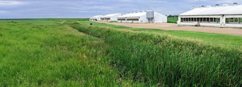 from-crops-to-hogs-building-a-diversified-farm