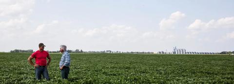 Two men talking in a bean field on a sunny day with a group of silos in the background