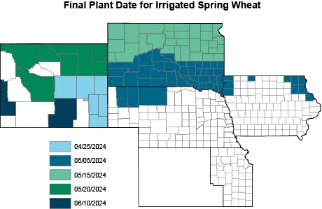 final plant date for irrigated spring wheat map
